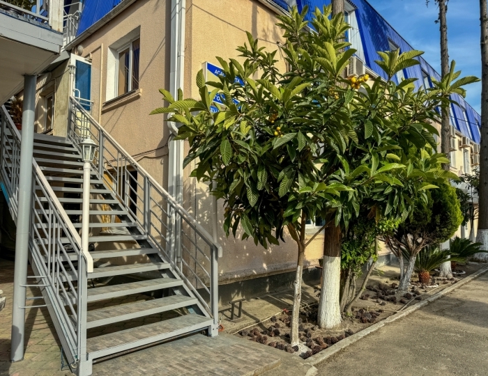 Гостиница «Мега» Гагра